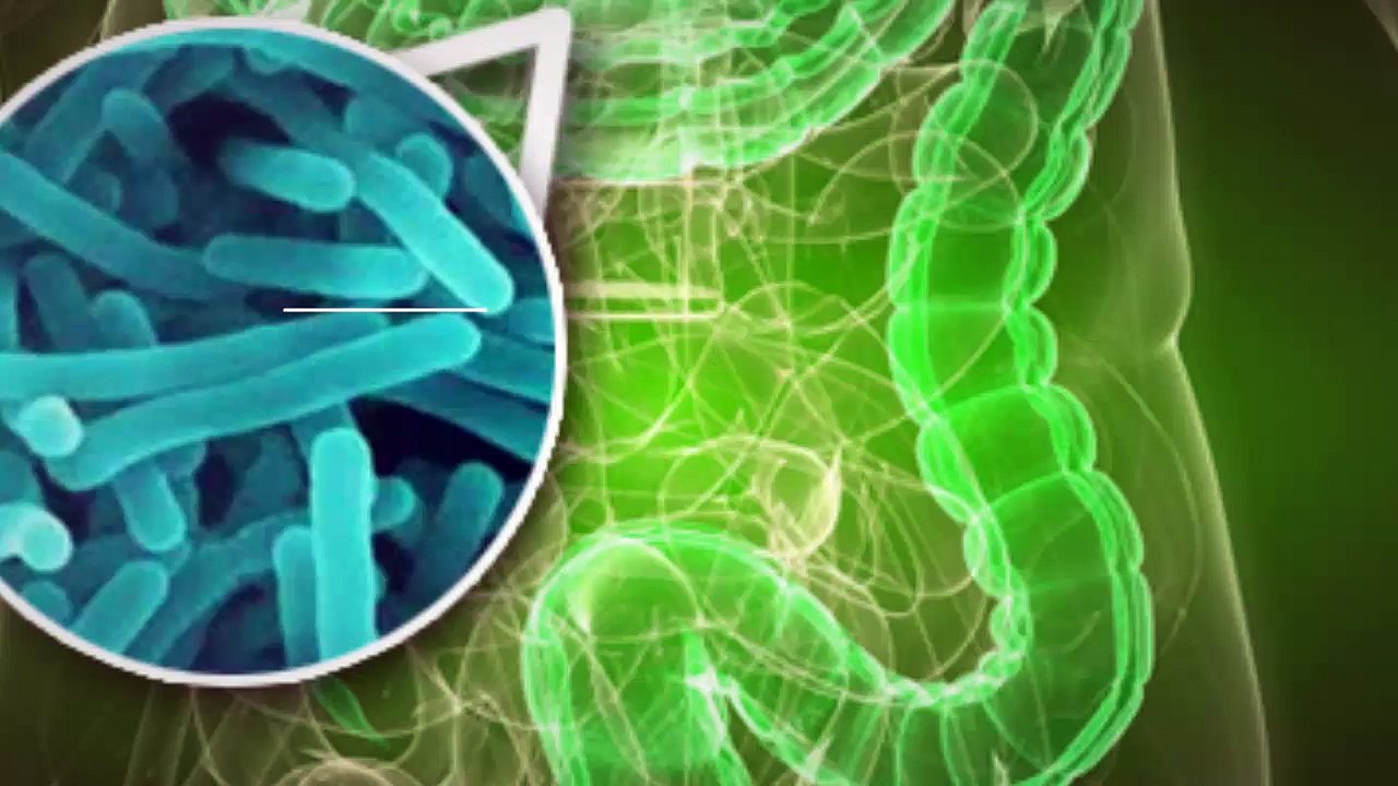 Aprende Como Eliminar Fácilmente Y Para Siempre La Gastritis, Ulceras Y Otros Padecimientos