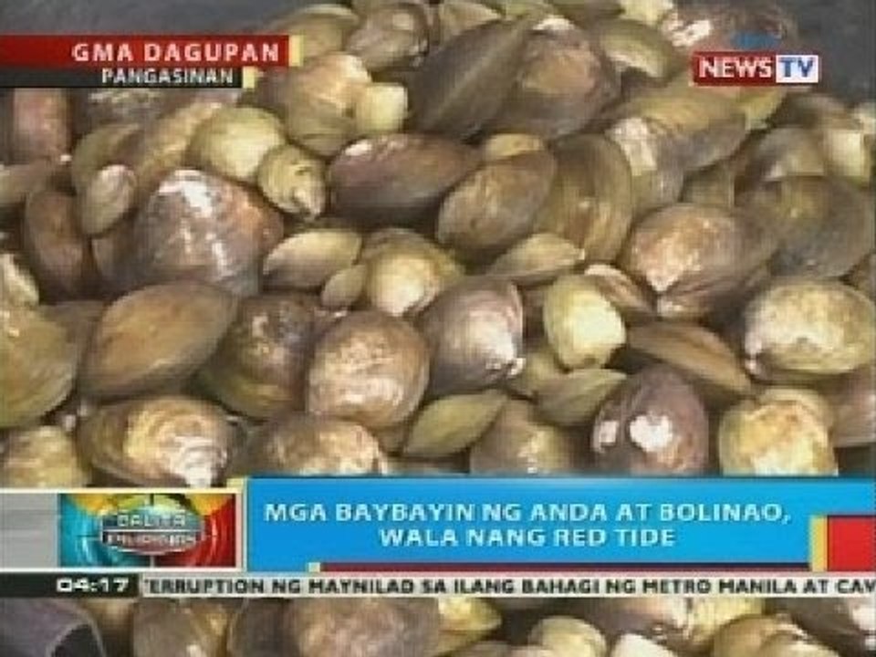 BP: Mga baybayin ng Anda at Bolinao, Pangasinan, wala nang red tide