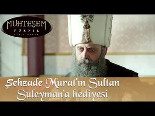 Şehzade Murad'ın Sultan Süleyman'a hediyesi - Muhteşem Yüzyıl 139.Bölüm