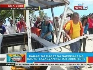 Bahagi ng dagat sa Bantayan Island, Cebu na napinsala ng bagyo, lalagyan ng fish dormitory