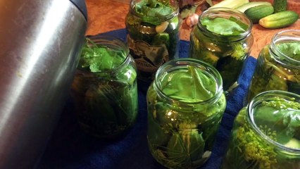 маринованные огурцы