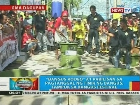 Bangus Rodeo at pabilisan sa pagtanggal ng tinik ng bangus, tampok sa Bangus Festival