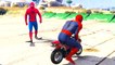 Comptines Bébé - Dessin animé francais Motos colorées et Spiderman Mcqueen Cars| Colors fo