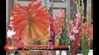 Flowers Elegant Manifedtation Of Allah'Gloryy
