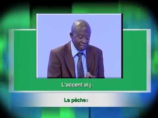 RTI2 / Culture - Bien S'exprimer du 31 Mai 2015