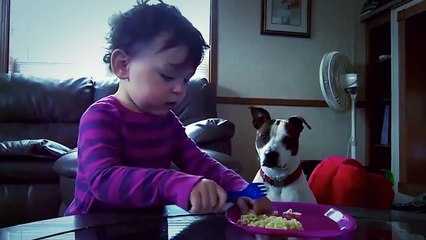 Funny Dogs & Cute Babies Memorable Moments   Compilation