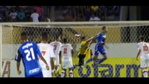 Villa Nova-MG 2 x 3 Palmeiras - Gols (HD) - Copa SP de Futebol Jr. 2017