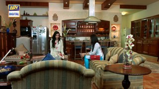 Watch Tum Milay Episode 16 on Ary Digital in High Quality 24th October 2016