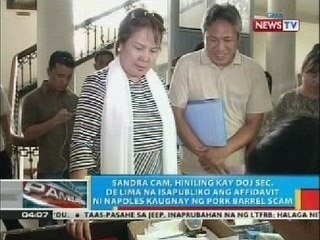 Sandra Cam, hiniling kay DOJ Sec. de Lima na isapubliko ang affidavit ni Janet Napoles