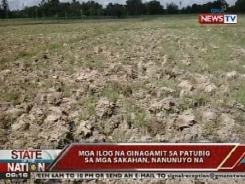 SONA: Matinding init, naging sanhi ng pagkamatay ng mga isda at pagkatuyo ng mga ilog