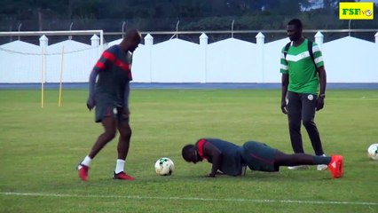 Séance  d'entraînement des Lions après la victoire contre la Tunisie