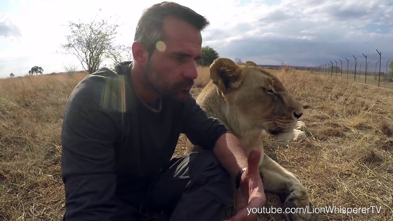 L'homme et le lion