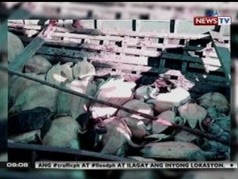 9 sa 11 Chinese fisherman na nahuli sa Hasa-Hasa Shoal, sumailalim na sa inquest proceedings