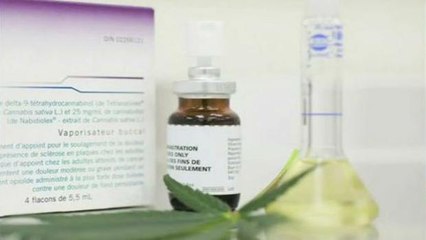 Primeiro remédio à base de maconha é aprovado no país