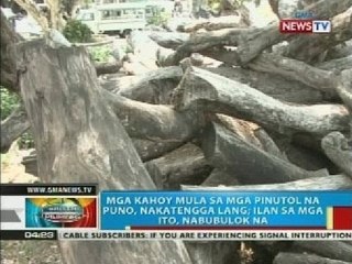 BP: Mga kahoy mula sa mga pinutol na puno sa Pangasinan, nakatengga lang
