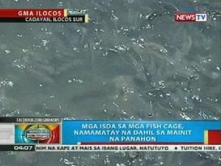 Mga isda sa mga fish cage sa Ilocos Sur, namamatay na dahil sa mainit na panahon