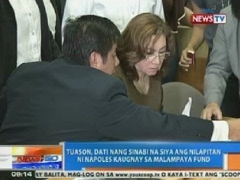 NTG: Tuason, idiniin ni Napoles sa Malampaya fund scam