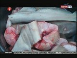 Pagbabawal sa shark trade, isinulong ng lokal na pamahalaan ng Cebu