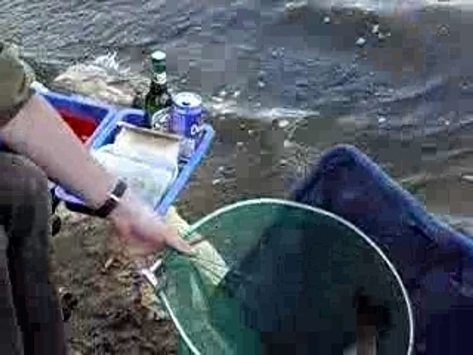 breme 1kgs 5 au feeder