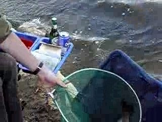 breme 1kgs 5 au feeder