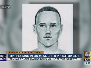 Police looking for Mesa child predator