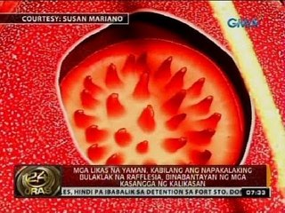 Mahigit 1,600 bata sa antique, nahatiran ng bagong school supplies ng GMA Kapuso Foundation