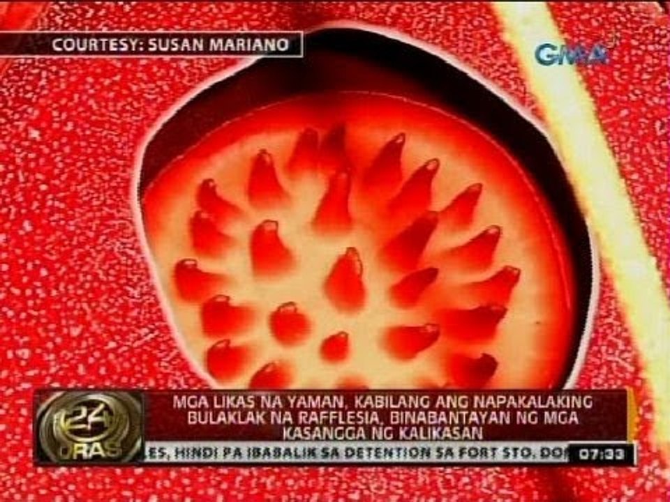Mahigit 1,600 bata sa antique, nahatiran ng bagong school supplies ng GMA Kapuso Foundation