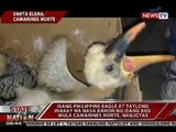1 Philippine Eagle at 3 inakay na nasa kahon ng isang bus mula sa Camarines Norte, nailigtas