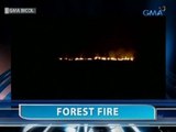 Saksi: Forest fire, sumiklab sa paanan ng Bulkang Mayon