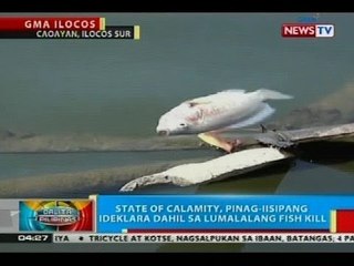 State of calamity, pinag-iisipang ideklara sa Caoayan, Ilocos Sur dahil sa lumalalang fish kill
