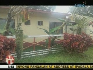 UB: Mga kakaibang puno ng saging, tumubo sa Indanan, Sulu