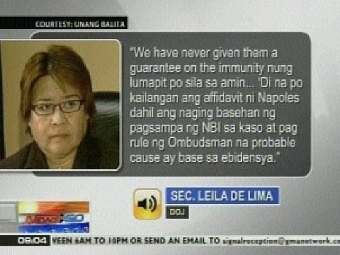 NTG: De Lima: 'Di kami nagbigay ng garantiya na mapagbibigyan ang hiling na immunity ni Napoles