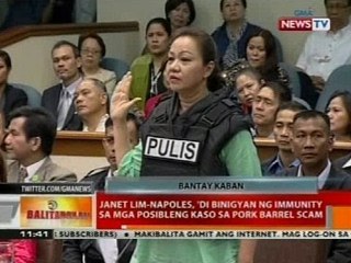 Janet Lim-Napoles, 'di binigyan ng immunity sa mga posibleng kaso sa pork barrel scam