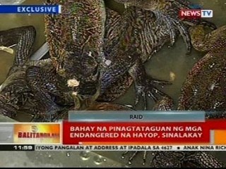 BT: Bahay na pinagtataguan ng mga endangered na hayop, sinalakay