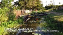 Traveling Around Triumph Village- Republic Of Guyana (HD) (60FPS)