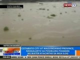 NTG: Cotabato City at Maguindanao, nakaalerto sa pagbara ng water hyacinths sa ilog