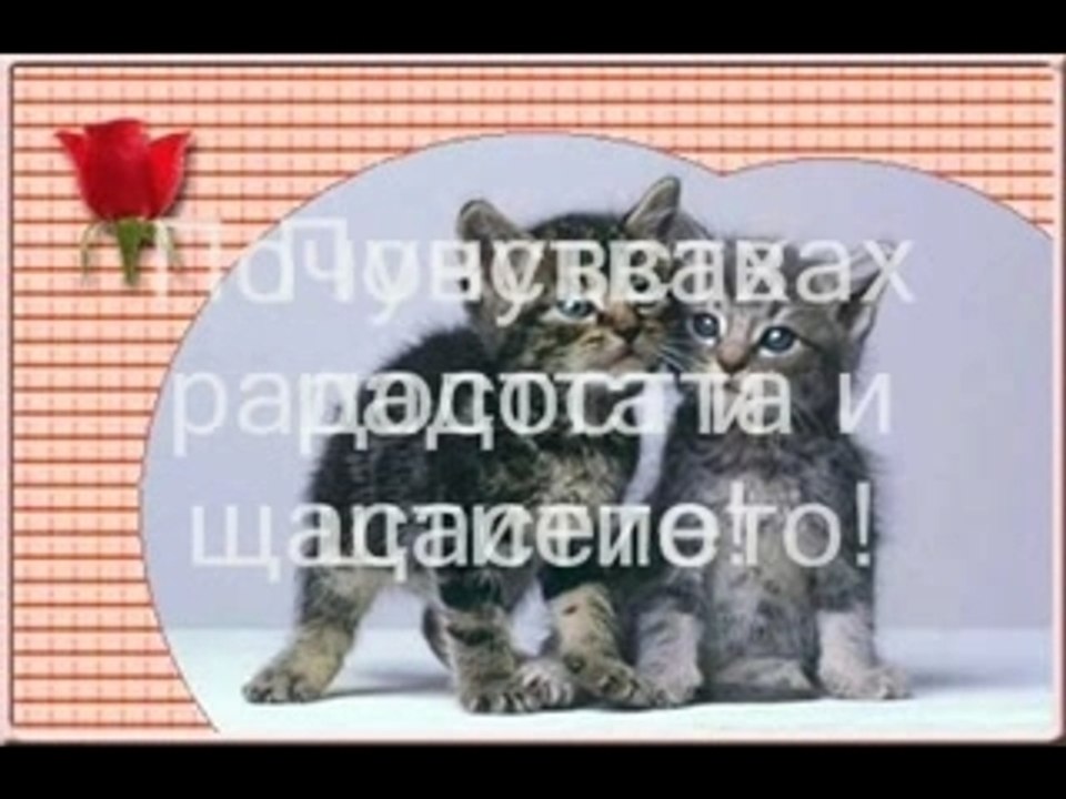 Specialy for Gogi