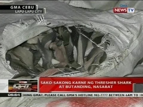 QRT: Sako-sakong karne ng thresher shark at butanding, nasabat