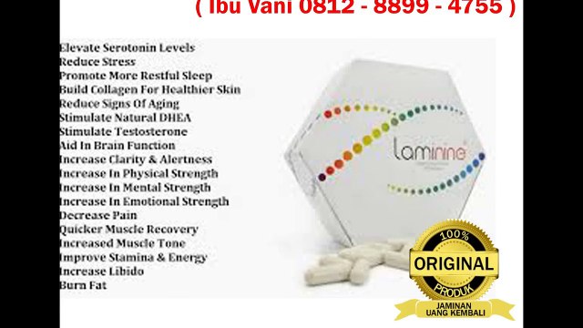 WA 0812-8899-4755 Agen Resmi Laminine , WA 0812-8899-4755 Harga Suplemen Laminine
