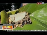 BT: Gallo Pinto, isa sa mga paboritong pagkain ng mga taga-Costa Rica