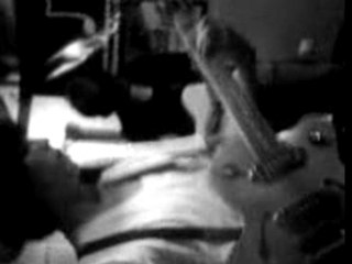 THE FALSE bureau white widow in the meadow