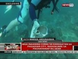 QRT: Mga inaaning coral sa karagatan sa Pagadian City, nadiskubre sa paghahanap ng DENR