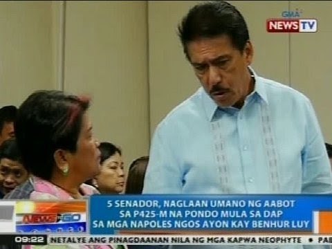 NTG: Luy: 5 senador, naglaan ng aabot sa P425M pondo mula sa DAP sa mga Napoles NGOs