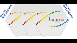 Harga Laminine (WA) 0812 8899 4755