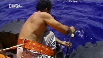 Alarm im Cockpit  S04E03 - Feuer an Bord