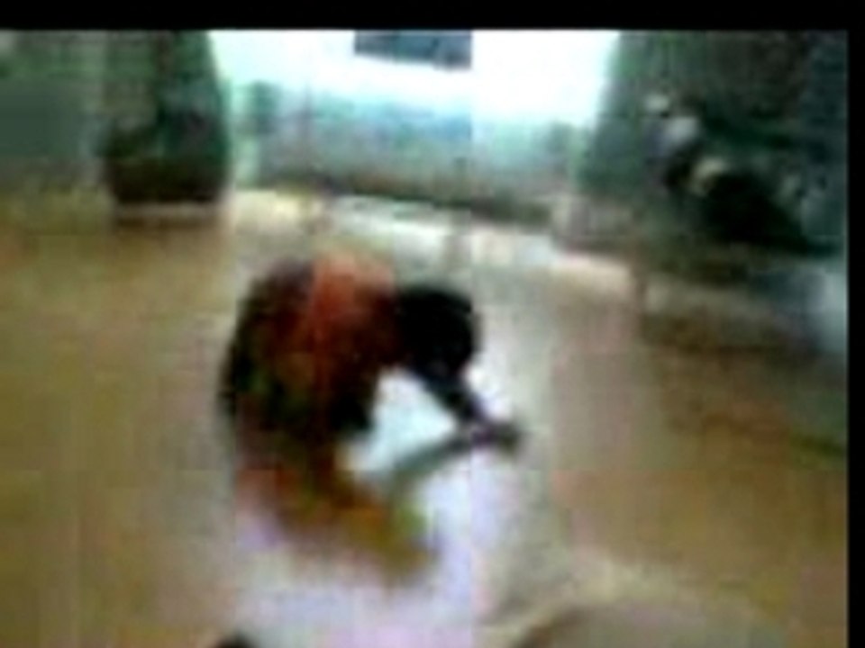 break dance floor