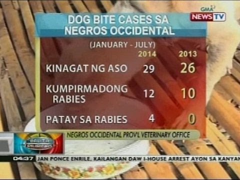 BP: Rabies outbreak, idineklara sa ilang lugar sa Negros Occidental