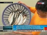 Mga isdang naanod sa ilog Pasig mula sa mga nasirang palaisdaan sa Laguna, pinaghuhuli