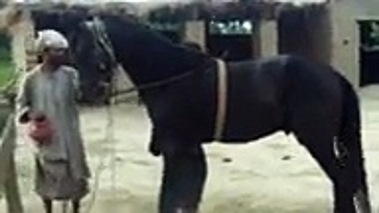 Beautiful hourse in pakistan Near Sheikhupura