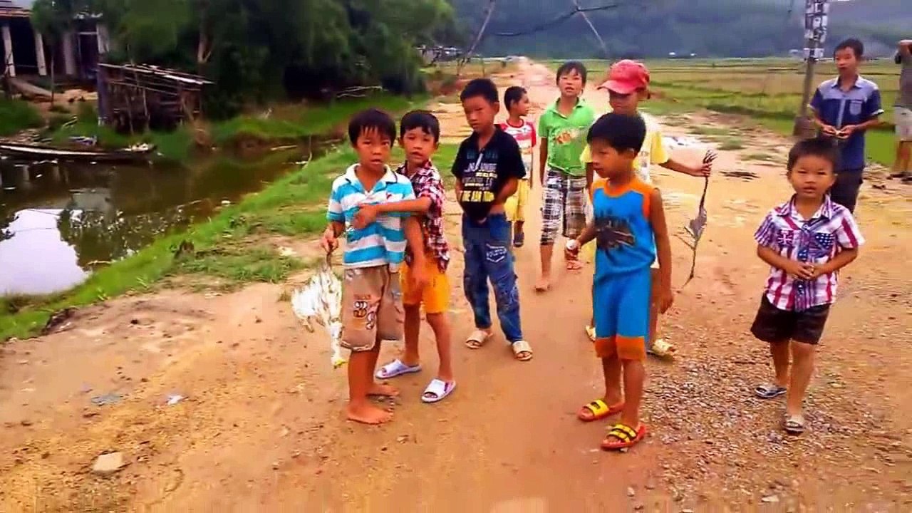 Bẩy cò trắng bằng keo dính ở Phú Lộc, Thừa Thiên - Huế